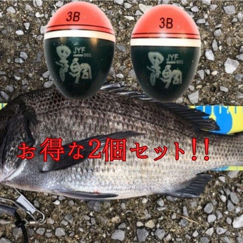 ASPALAND Cone Float Sea Bream, Chinu, Ukifukase, Sea Fishing, 3B,