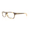 Fossil Sammy Eyeglasses Color 04GX 00