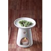 Hosley's Highly Fragranced Mountain Air Decorative SHAPED Wax Melts, 12