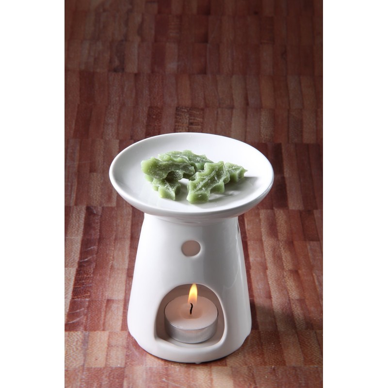 Hosley's Highly Fragranced Mountain Air Decorative SHAPED Wax Melts, 12