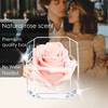 A 100% Real Rose That Lasts Years - Eternal Petals,