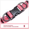 EXCELLENT ELITE SPANKER Ultra soft No pull dog harness V-Shaped