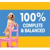 Pedigree Puppy Growth & Protection Dry Dog Food Chicken &