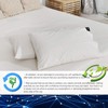 Conductive Grounding Sheet Queen Silver Fiber Grounding Well Bed Sheets