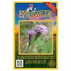 Everwilde Farms - 50 Dwarf Blazing Star Native Wildflower Seeds