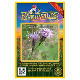 Everwilde Farms - 50 Dwarf Blazing Star Native Wildflower Seeds - Gold Vault Jumbo Seed Packet