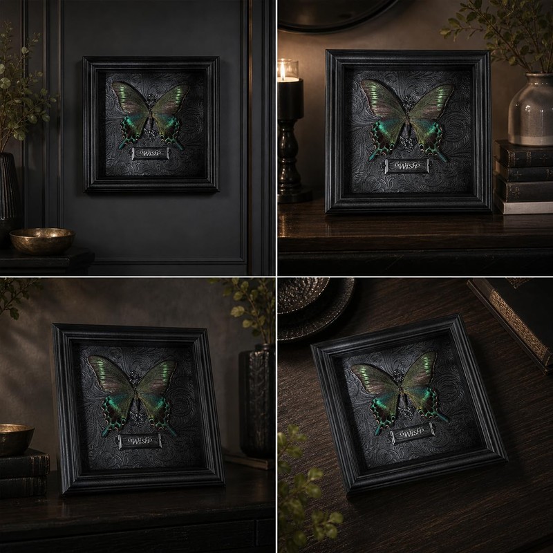 Real Handmade Taxidermy Butterfly Framed Gothic Baroque Art Home Decor