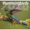 2026 Hummingbirds Full Size Wall Calendar for Planning, Scheduling, and