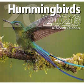 2026 Hummingbirds Full Size Wall Calendar for Planning, Scheduling, and Organizing