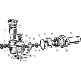 Hayward Spx4000FG 1/4" Drain Plug w/ O-ring NorthStar TriStar Pump Heater Drain