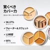 TFIT Cover-Up Pro Concealer / 15g / Triple Color /