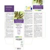 Rustyback Fern (Ceterach officinarum or Asplenium Ceterach) Leaves Alcohol-Free Mother