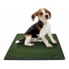 Repelente Tapete Sanitario Entrenador Perro Green Carpet
