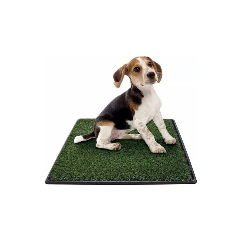 Repelente Tapete Sanitario Entrenador Perro Green Carpet