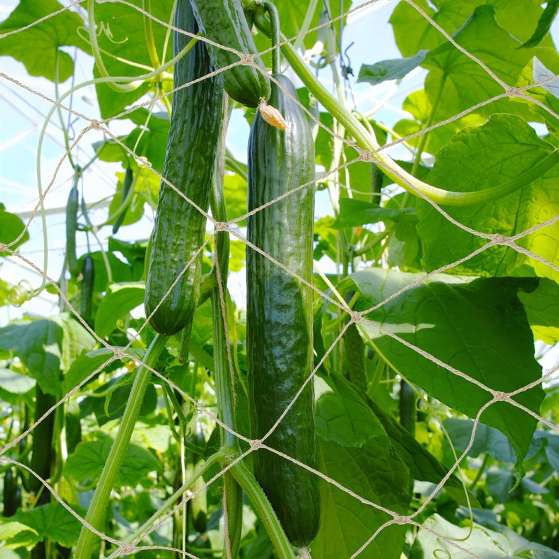 QWORK® Jute Support Netting, 1x5m Plant Climbing Netting with 10M