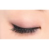 D-UP Eyelashes RICH 810 False Eyelashes, Black, 2 Pairs