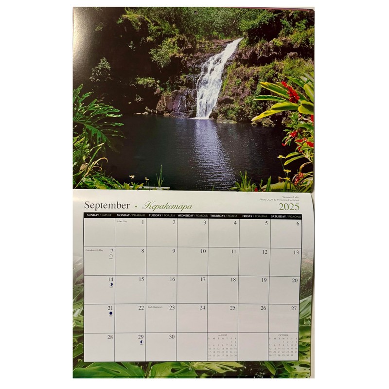 Islander Hawaii Hawaiian 2025 Twelve Month Wall Calendar (Aloha State