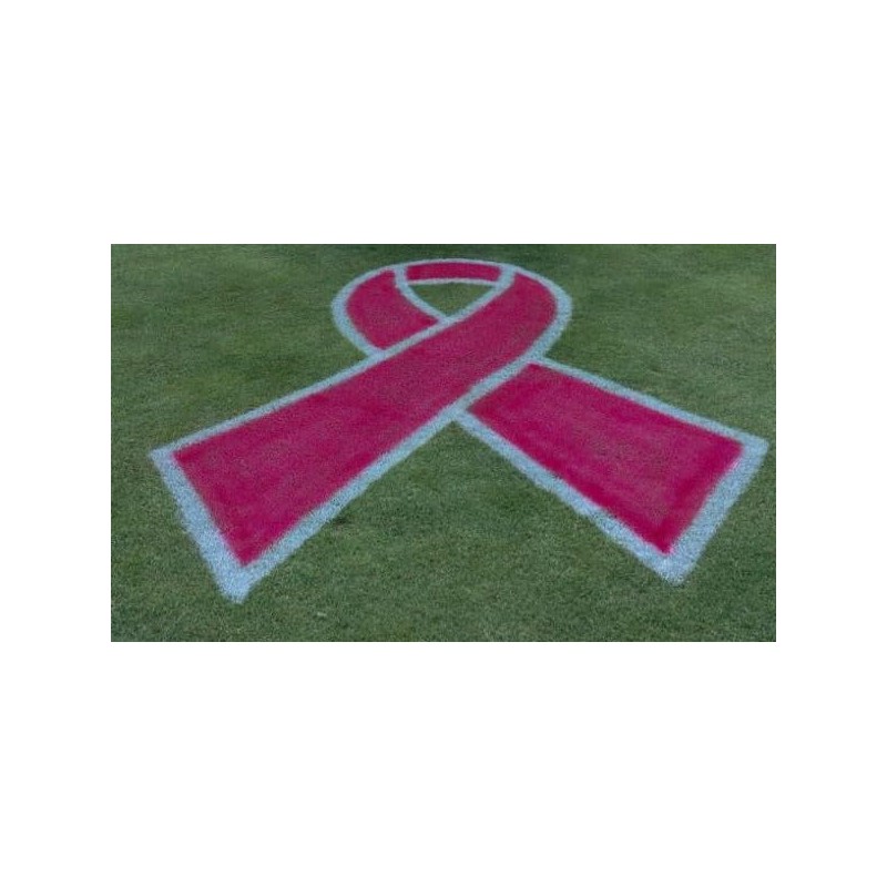 Ameri-Stripe White Athletic Field Marking Spray Paint - SIX-Pack (6