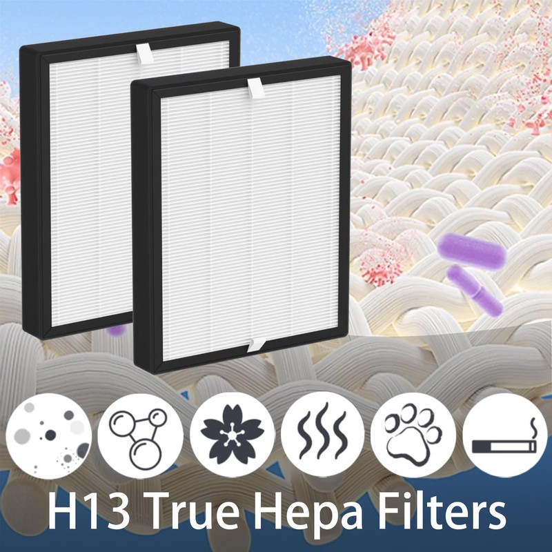 BS-10 Replacement Filter for PARTU BS-10 Air Purifier, 3 IN