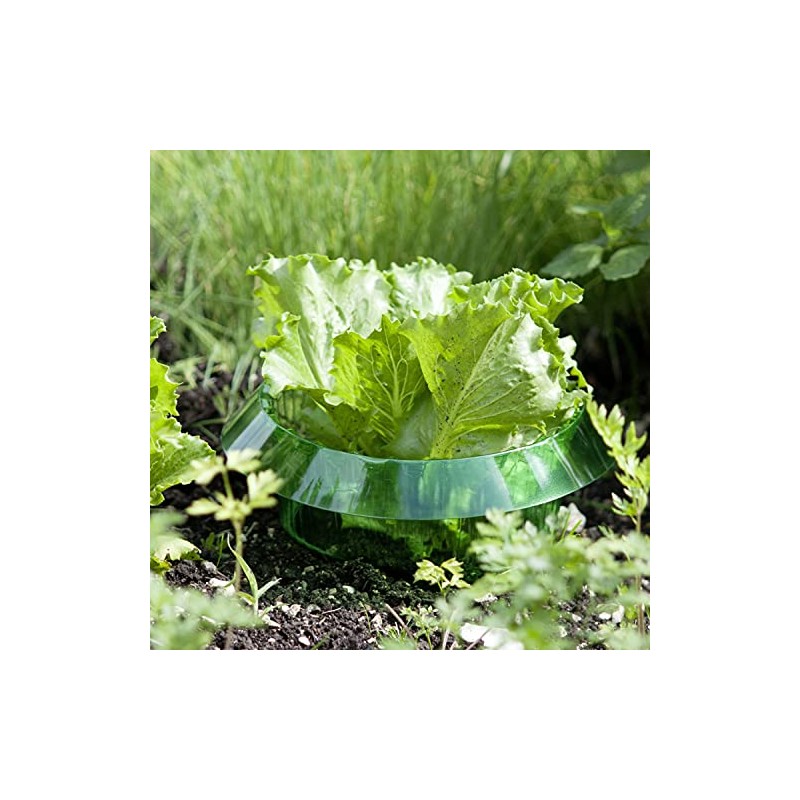 Snail Protection Ring 6 Pack Weather Resistant Reusable Eco-Friendly