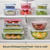 Pyrex Colors Tinted (11 Cup) Tinted Glass Large Rectangular Food