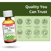 De La Cruz Australian Tea Tree Essential Oil, 100% Pure,