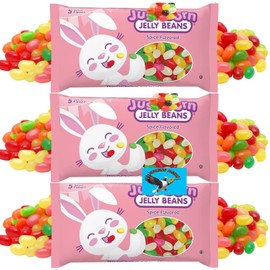 JustBorn Jelly Beans Spice Flavors 30oz Bulk Easter Basket Egg Hunt Candy - Includes PITCHING PIGEON Brand Magnet