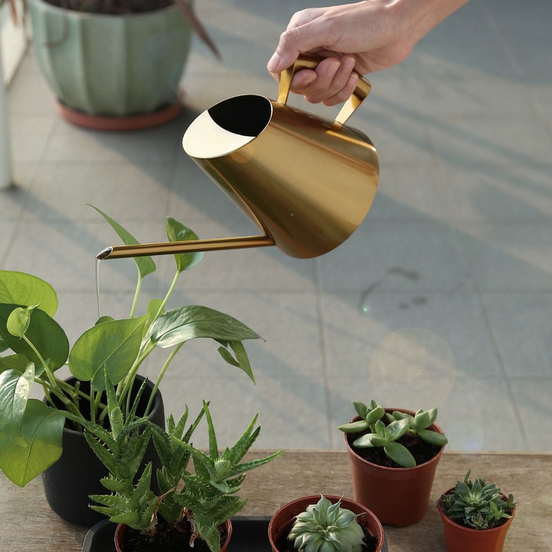 Stainless Steel Watering Can Sprinkle Pot Long Mouth Garden Flowers