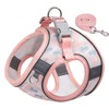 BTDCFY Step in Mesh Dog Harness and Leash Set Breathable