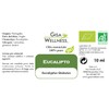 Organic Eucaliptus - 100% Organic, Pure and Natural Essential Oil