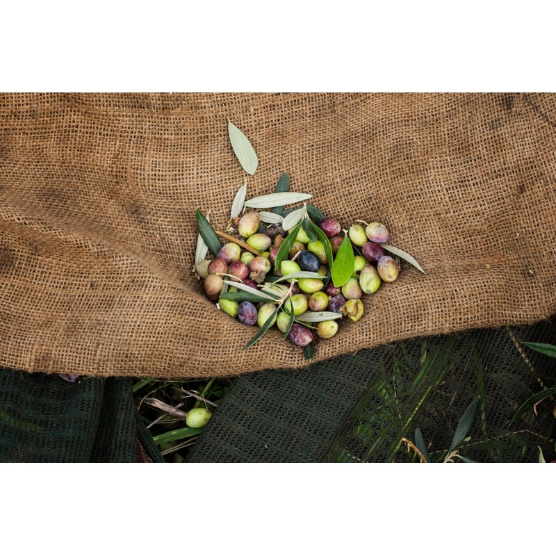 LIA Koroneiki Greek Extra Virgin Olive Oil, 500 ML