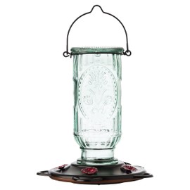 More Birds Vintage Hummingbird Feeder, Antique Glass Hummingbird Feeders for Outdoors, 5 Feeding Stations, 20 Ounces