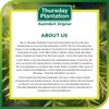 THURSDAY PLANTATION Tea Tree Cream 100ml (PACK OF 1)