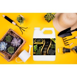 Humic Acid Liquid Aeration Lawn - Humic Acid & Fulvic Acid Liquid Concentrate - 10,000 sq ft - Organic Plant Food Enhancer for Lawn, Plants, Turf Grass & Garden Soil Treatment Conditioner & Aerator