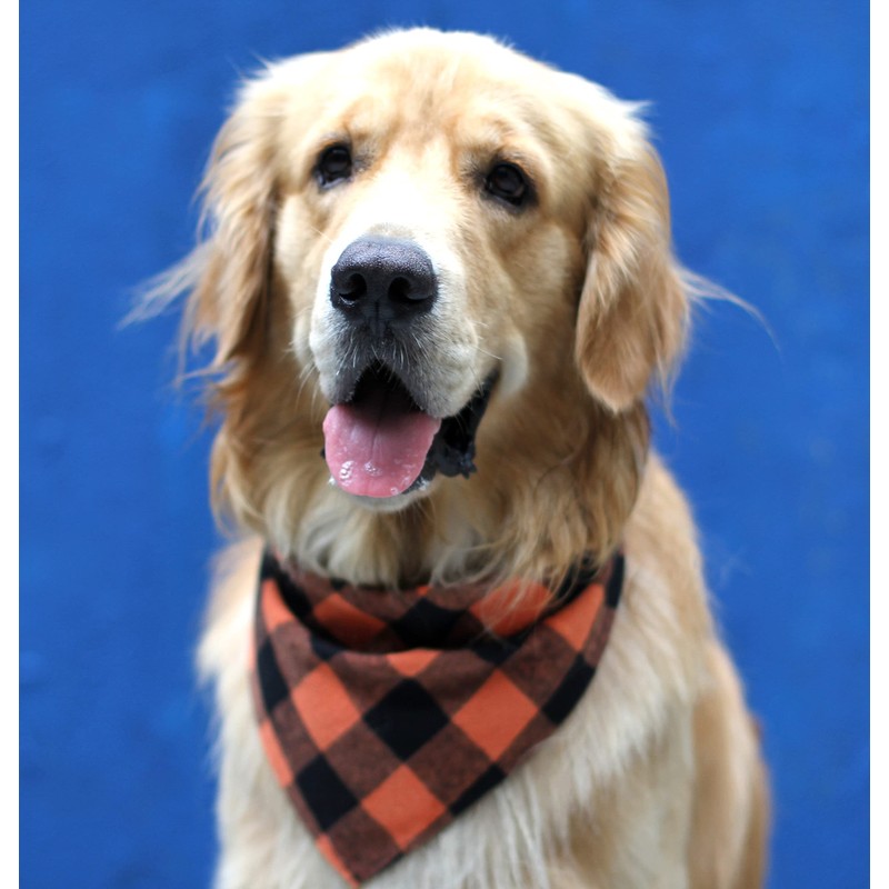 EechicSpace Orange Plaid Dog Bandanas for Small Medium Extra Large