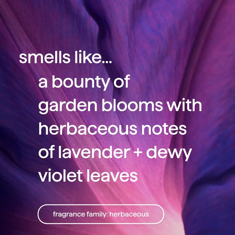 Method Premium Gel Hand Wash Refill, Violet + Lavender, 34