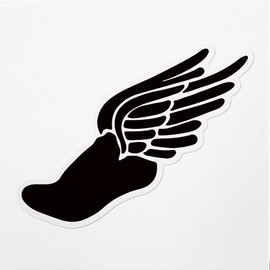 Decal Stickers of Winged Stencil Premium Indoor (No Waterproof) Vinyl Decal Stickers for Laptop Phone Accessory Helmet Car Window Mug Tuber Cup Door Wall Decoration NVCVER30a417aBL