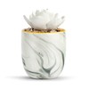 Demdaco Creativity and Courage Succulent White 4.5 x 3 Ceramic
