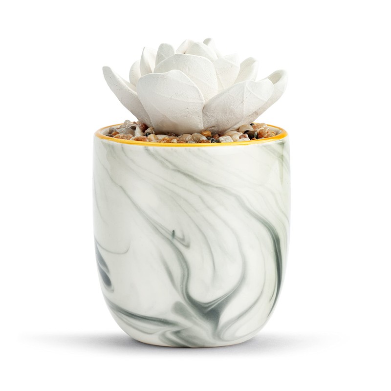 Demdaco Creativity and Courage Succulent White 4.5 x 3 Ceramic