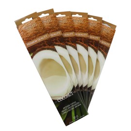 Hosley Coconut Fragrance Incense Sticks Essential Oils Infusion for Long-Lasting Aromatherapy Bliss Holistic Relaxation in Every Box Pack of 240 Incense Stick