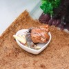 3 Pcs Hermit Crab Ceramic Dish Kit, Mini Food &