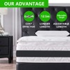 Mattress Holder, Connects two Mattresses to a Large Lying Surface,