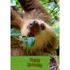 Sloth Wild Animal Birthday Card