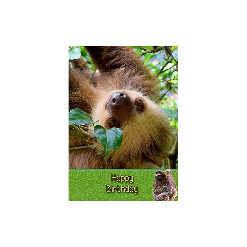 Sloth Wild Animal Birthday Card