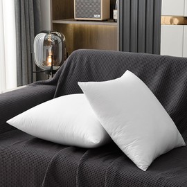 WayToLight Throw Pillows Insert (Set of 2, White) - Square 18 x 18 Inches Bed and Couch Pillows - Indoor Sofa Decorative Pillows