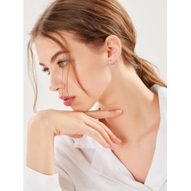 Seiyang Dachshund Earrings 925 Sterling Silver Dachshund Wiener Dog Hoop Earrings Puppy Jewelry Gifts for Women Dog Lovers