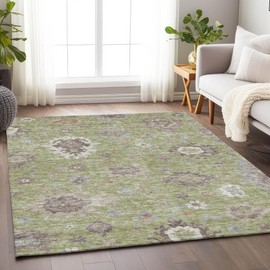 Addison Rugs Mayfield AMF753 Aloe 3' x 5' Indoor Premium Machine Washable Rug, Silky Soft, Easy Clean, Non Shedding, Bedroom, Living Room, Dining Room, Kitchen, Patio Rug