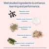 More Labs Liquid Focus, Nootropic Smart Drink with Powerful Antioxidants