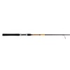 Ugly Stik Bigwater Spinning Fishing Rod