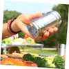 ABOOFAN 2pcs Stainless Steel Condiment Bottles with Caps Portable Spice